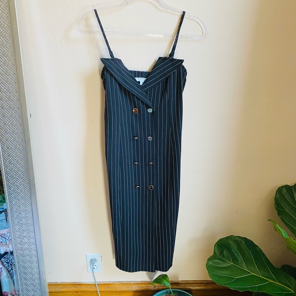 Discovery Pinstripe Dress